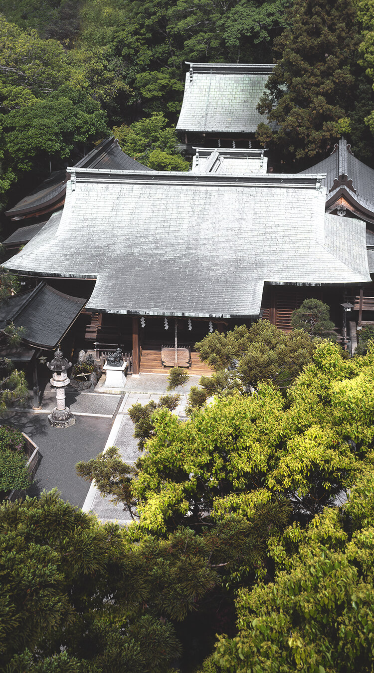 大井神社空撮